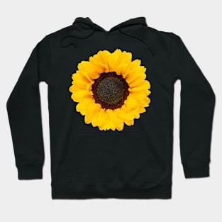 Sundrenched Sunflower Hoodie